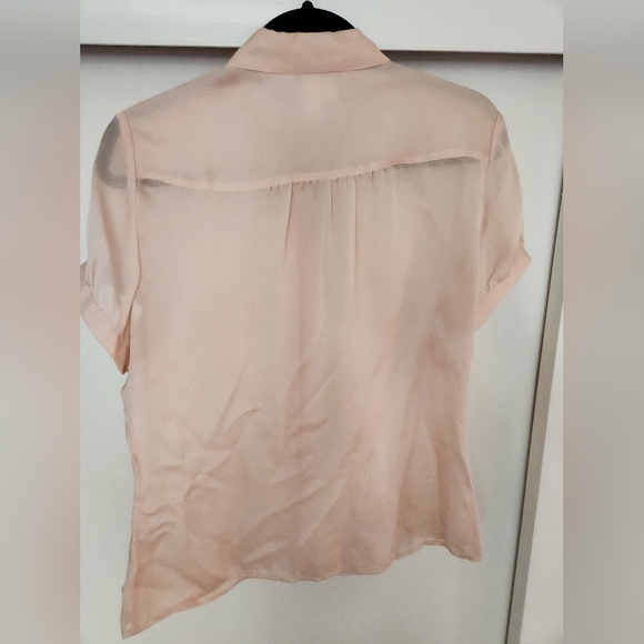Banana Republic Vintage Silk Sheer Pale Pink or Nude Blouse Size Large - Picture 2 of 3